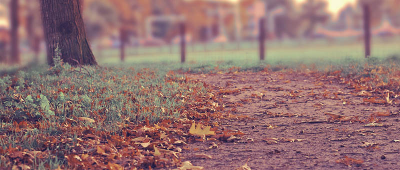 企业应用的ddos页端